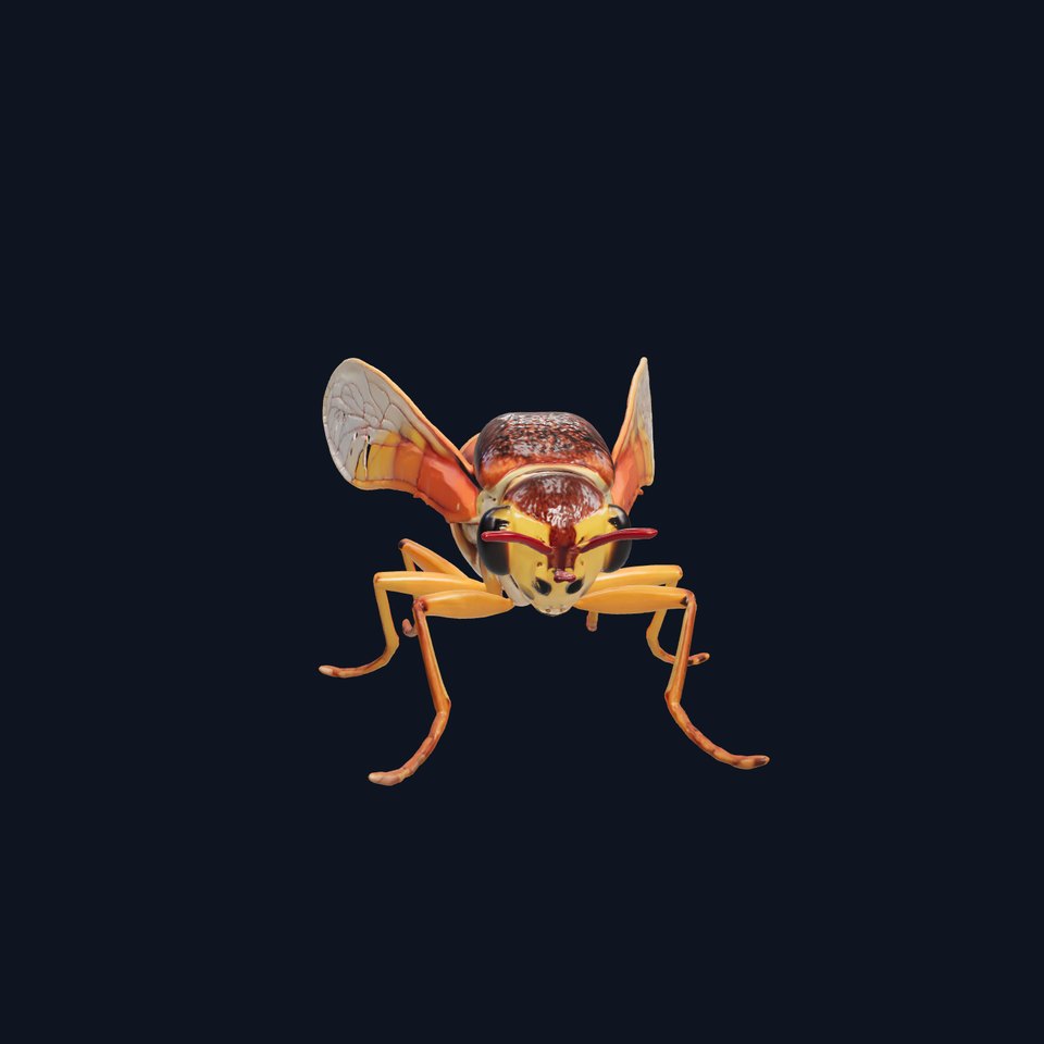 Detailed Cicada Insect Model Pack